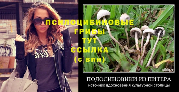 стаф Пионерский